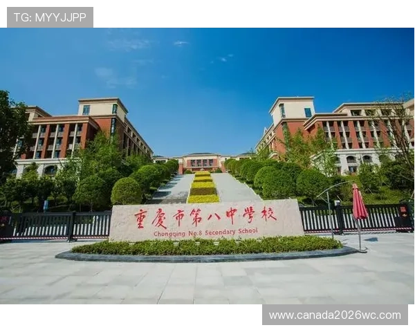 2023年世界杯排名前十的国家队实力对比与潜力分析