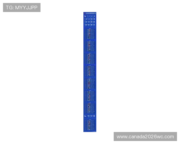 2026年世界杯预选赛中国队赛程安排及重要比赛日程全景解读
