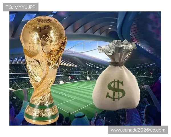 世界杯冠军奖金的最新发放标准及其变化趋势分析