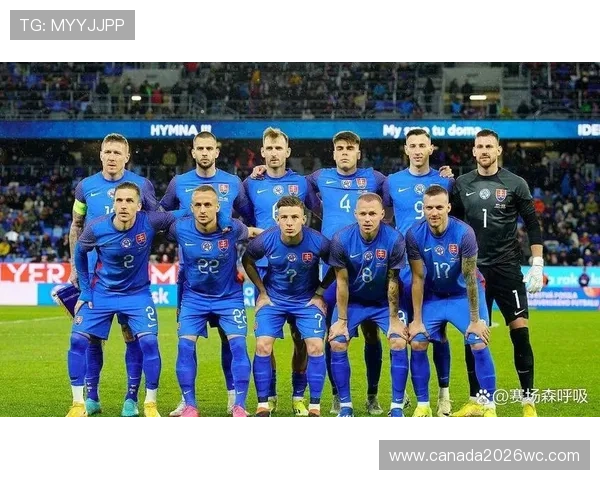 世界杯预选赛直播数据分析助你了解球队最新状态