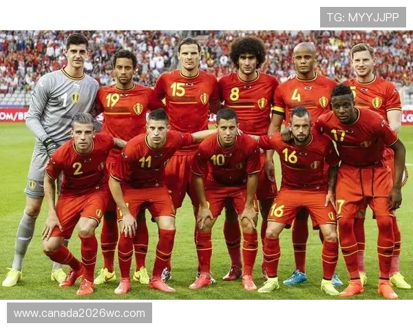 巴西2026年世界杯：志愿者招募与赛事组织管理经验总结