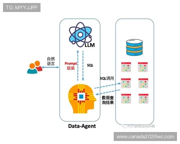 构建完整的世界杯历史数据库：数据采集、整理与应用的实用技巧
