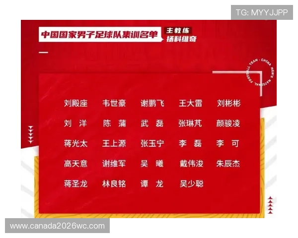 2023年美加墨世界杯在休斯敦的比赛时间及门票预订最新指南