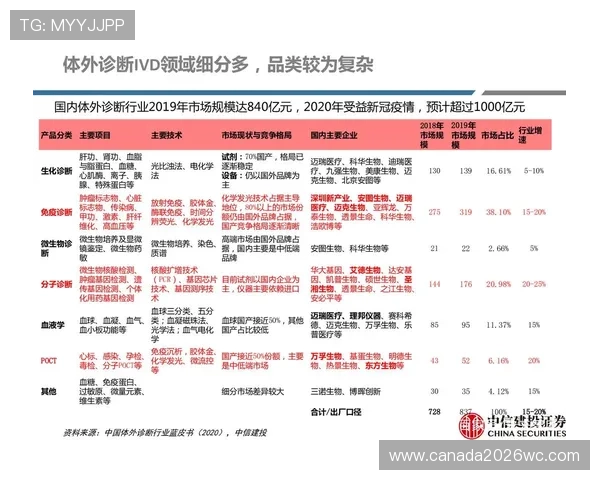 2026年世界杯中国足球市场潜力与相关产业发展趋势深度探讨
