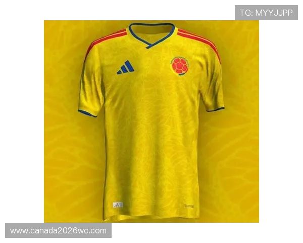 2026年世界杯官方球衣在不同国家的销售情况与市场反馈 2026年世界杯官方球衣在不同国家的销售情况与市场反馈