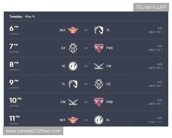 世界杯亚洲区预选赛晋级指南：详细解析晋级条件与关键战役