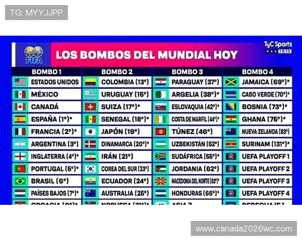 如何理解世界杯预选赛的分组方式，全面解析各大洲预选赛的抽签流程与分组原则