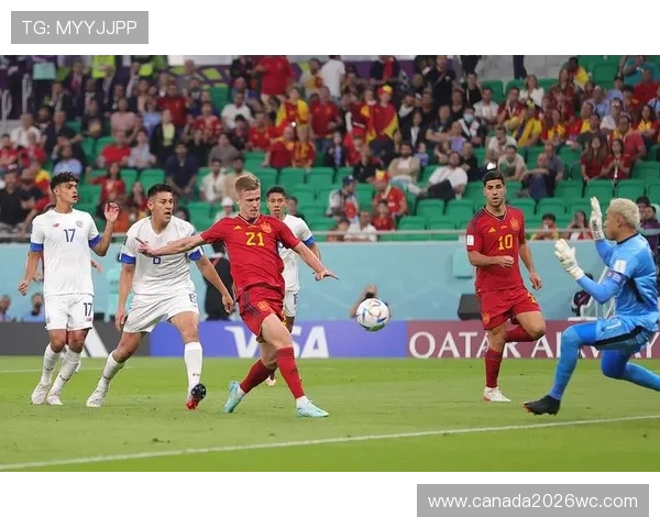 掌握卡塔尔世界杯回放观看技巧，轻松回顾每一场精彩比赛内容