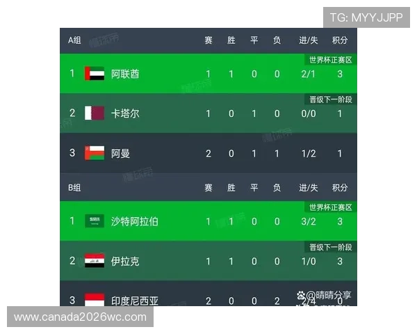 最新世界杯亚洲区预选赛出线规则解读，帮助球迷理解晋级机制