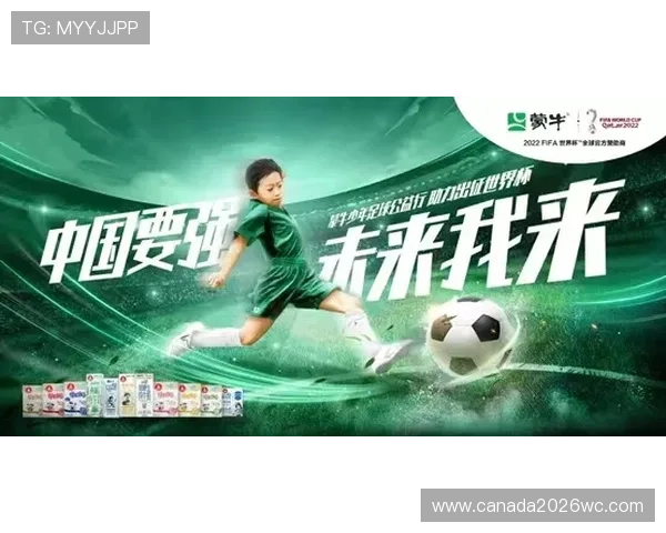 未来中国举办世界杯的可能性有多大，影响因素有哪些