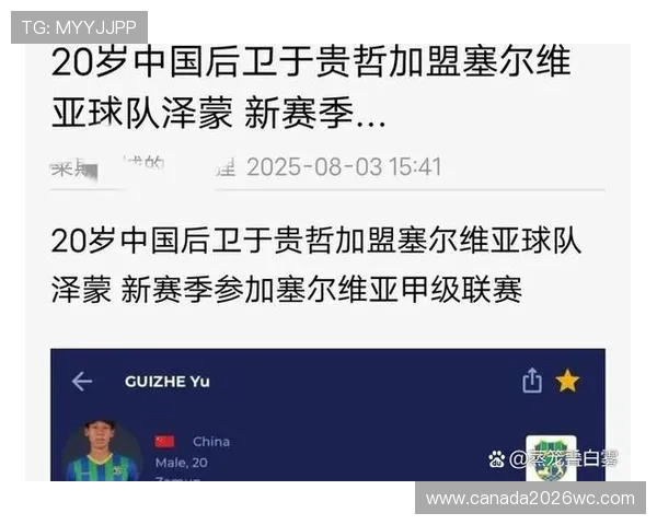 欧洲赛区世界杯出线球队最新动态及美加墨球队的晋级路径