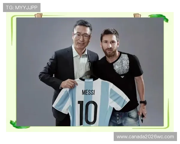 白岩松俄罗斯世界杯报道全景回顾与深度分析，带你了解赛事背后的故事