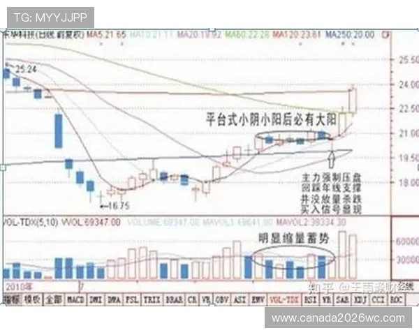 世界杯竞猜投注攻略新手必看如何选择合适的投注方式实现稳健盈利 世界杯竞猜投注攻略新手必看如何选择合适的投注方式实现稳健盈利