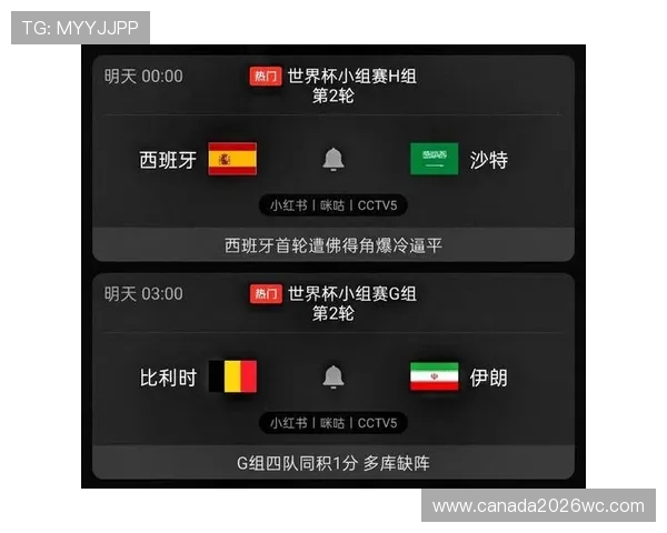 世界杯比利时与伊朗近期交锋战绩分析及比赛亮点回顾
